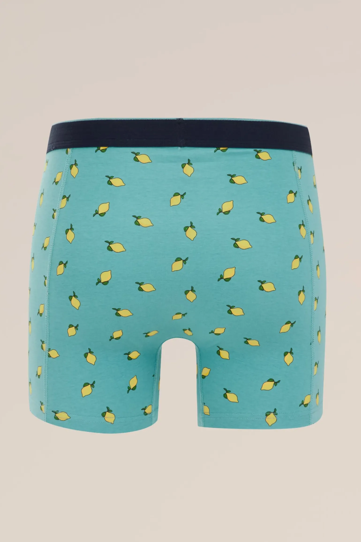 boxer met dessin