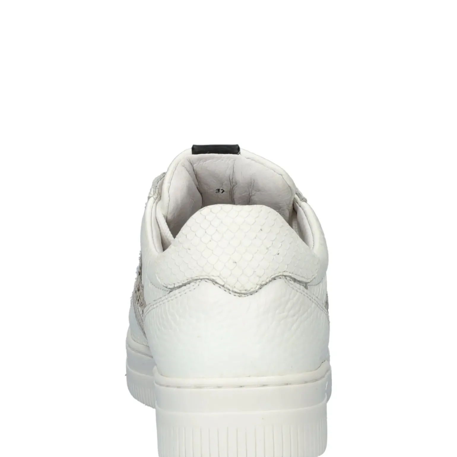 dames sneaker
