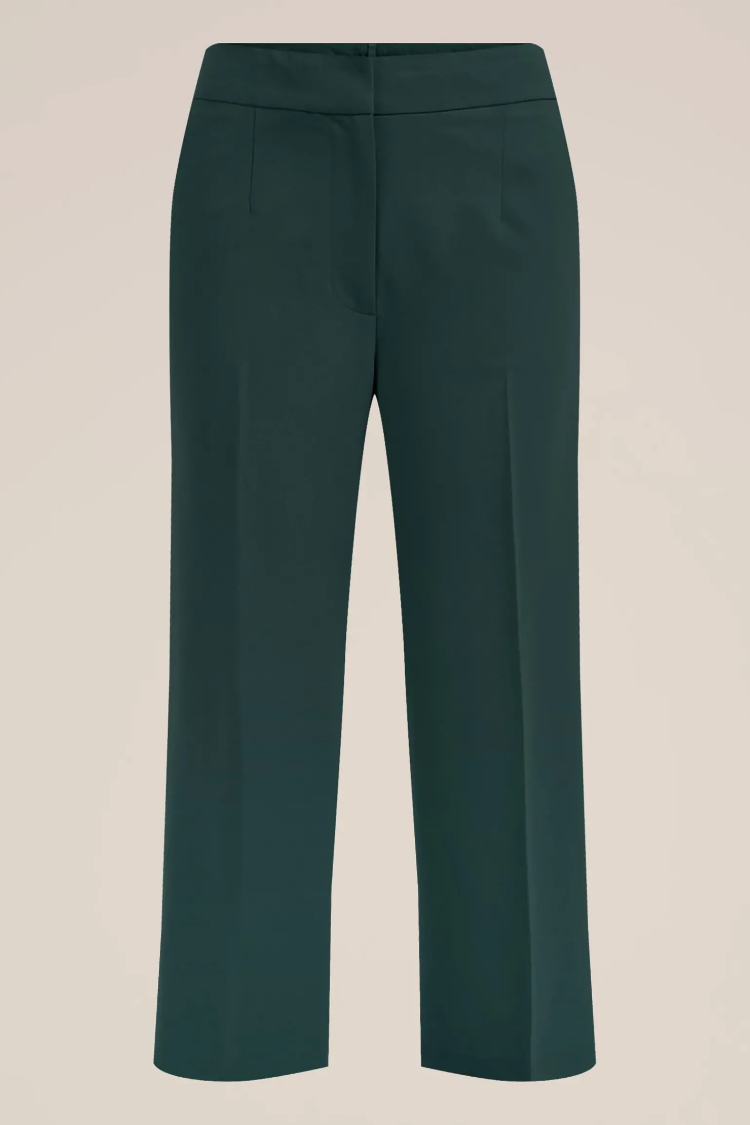 regular fit pantalon - Curve