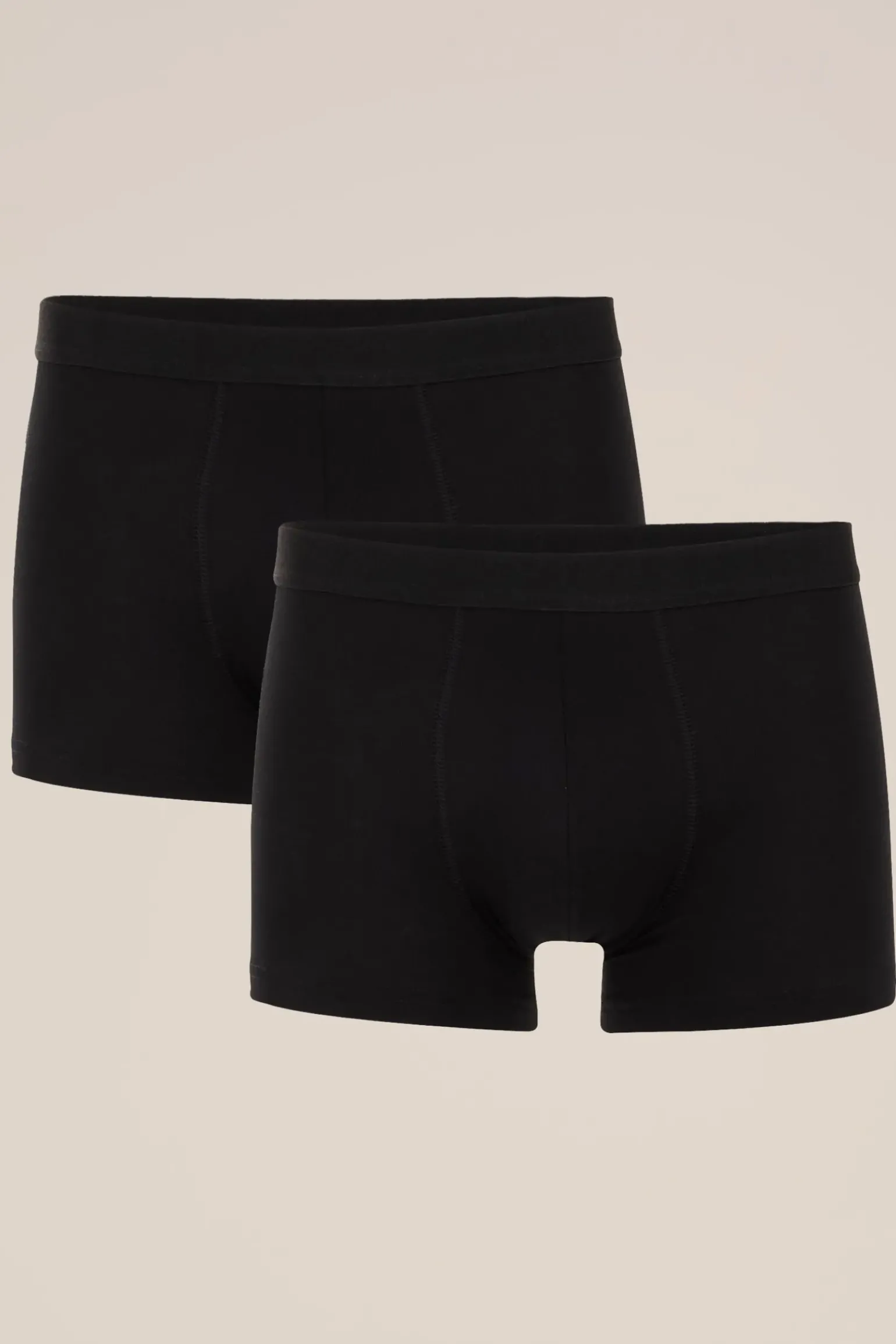 Trunk, 2-pack